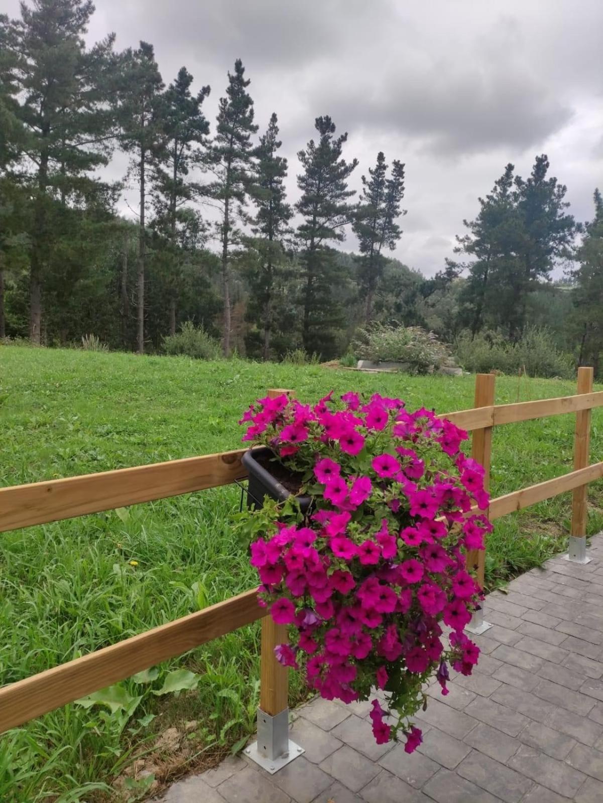 Caserio Ea Ea Bagian luar foto