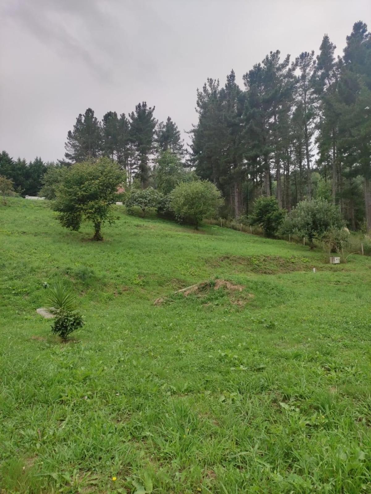Caserio Ea Ea Bagian luar foto